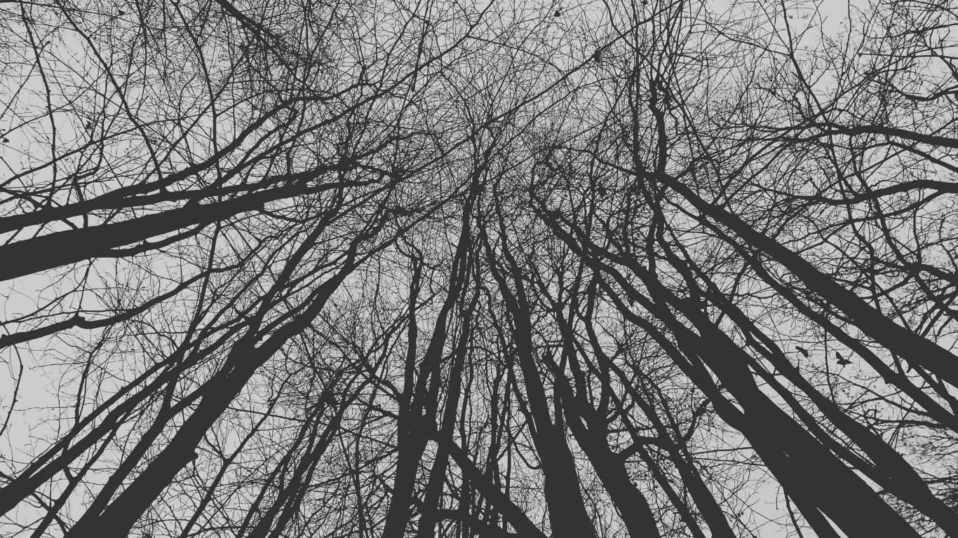 Read more about the article test